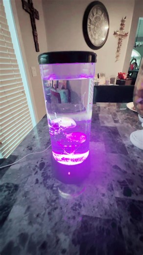 Watch the jellyfish swim and the light change colors! #jellyfishlight #jellyfish #jellyfishchanginglight #colorchangingjellyfishlight
