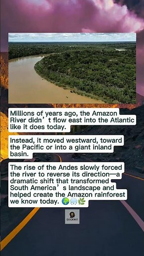 The Amazon River Once Flowed Backwards — and It Changed an Entire Continent
