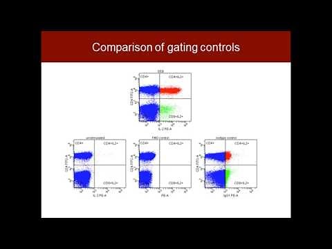 Antibodies in Multicolor Flow Cytometry: Panel Design Basics