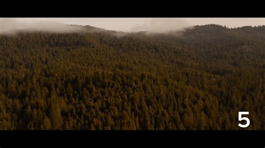 CBS on Reels | Facebook