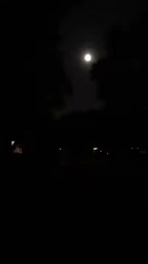 the sound of katydids at night