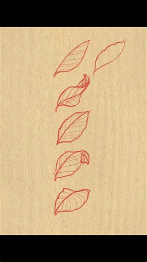 Neo-traditional leaves drawing exercise. Sharing a short timelapse of how I usually draw leaves, just to give an idea of my process. For those who are learning neo-trad, I hope this gives even a small tip or bit of guidance. #DrawWhatYouTattooTattooWhatYouDraw #drawing #tattoos #neotraditionaltattoo #tattooartist | Jaime De Leon Tud II