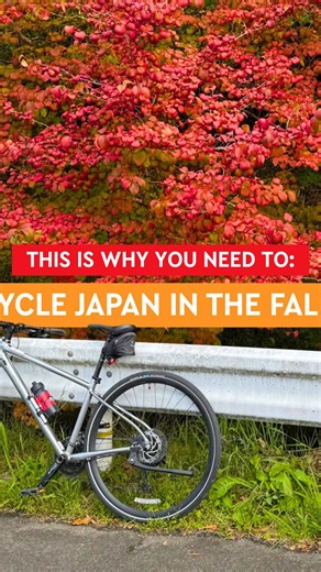 These are must-try dishes in Japan ⬇  1. Sashimi (Fresh Fish)  2. Matcha Ice Cream  3. Mochi And much more...  Save this guide for reference! | O Cycle Japan | Facebook