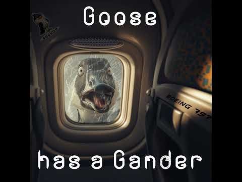 APG 700 – Goose has a Gander