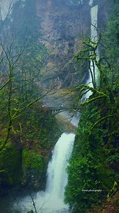 627K views · 18K reactions | Cold air, flowing water, and the gentle winter breeze at Multnomah Falls — a peaceful scene carved out by nature’s quiet beauty. Pacific Northwest  @izak.photography #beautifuldestinations #pnw #nature #pacificnorthwest #waterfalls #pnwexplored #forest #waterfalllovers #discoverearth #divineforest #pnwphotographer #pnwwonderland #pnwadventures #pnwcollective #pnwhiking #pnwphotography #pnwlife | Izak Photography | Facebook