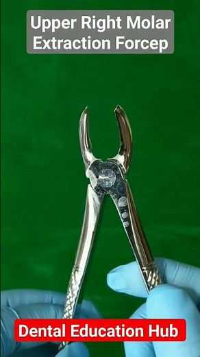 Upper Right Molar Tooth Extraction Forceps | Oral Surgery Instruments