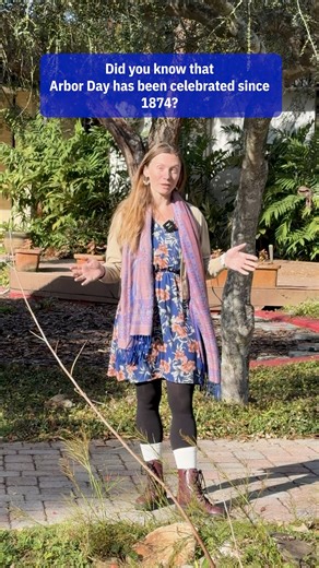 🌳 Did you know Arbor Day has been celebrated since 1874? Here in Florida, we honor our state Arbor Day on the third Friday in January—this year, that’s January 16th! Join the celebrations across the Bay Area: ✅ Plant a tree ✅ Learn about the benefits of trees ✅ Check for local tree giveaways Find events near you through your UF Extension office, and remember: Planting a tree today encourages a better tomorrow. 🌱 #ArborDay #FloridaArborDay #PlantATree #SustainableFuture | UF IFAS Extension Hill