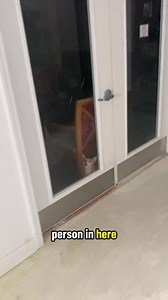 Urban explorers find dogs inside of an abandoned place!🐶😳 | LordExplores