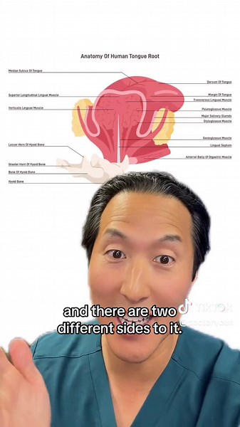 How do the sides of a split tongue move independently? #tongue #tonguesplitting #splittongue #bodymodification