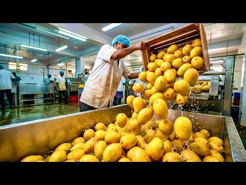 Inside a Modern Mango Factory: From Raw Mangoes to Bottled Premium Juice Full Process