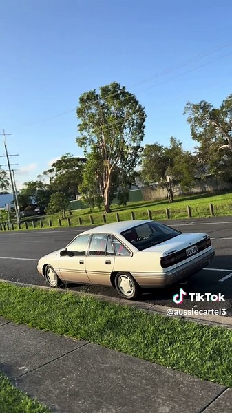 Explore SSL Springs for VN Commodore Modifications