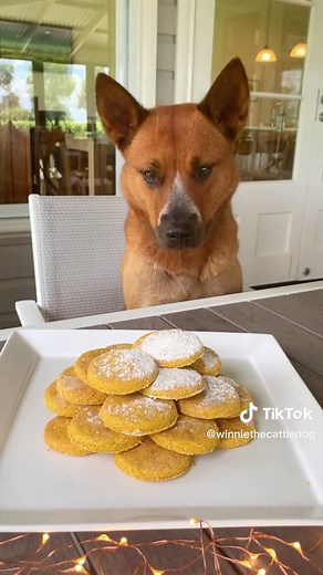 Winnie & April on TikTok