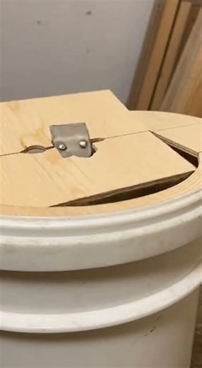 Homemade trap create extremely effective catch pests fast #DIY #pestcontrol #homemade