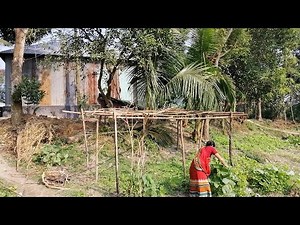 My daily village life style vlog //yummy fish curry recipe //smell of village