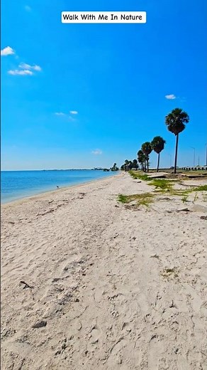 Majestic 4K Ocean Views - Ben T Davis Beach in Tampa Florida