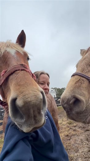 Y’all! I’ve never had horsie kisses before Dixie! The first time was unsolicited when I was squalling over Pride’s passing, standing next to her stall. Now, every time I tell her to give me sugars, she puts her nose up to my lips and gives me sugars. 🥹 Jill does it, too! Jill also acts like she’s a 3 years old and should climb up and sit in your lap, with no personal space, whatsoever, hence the camera moving all around. When I asked Dixie for sugars, Jill was right behind me, so she puts her h
