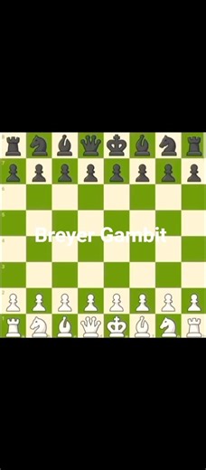 Breyer Gambit #chess #checkmate #viralvideo