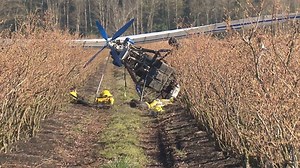 Pilot survives ultralight plane crash