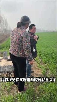 Hilarious Farming Life: Pesticide Spraying Fiasco