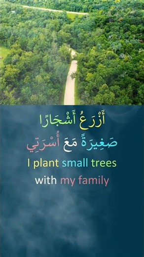ALL the Arabic Basics You Need - Improve your Arabic