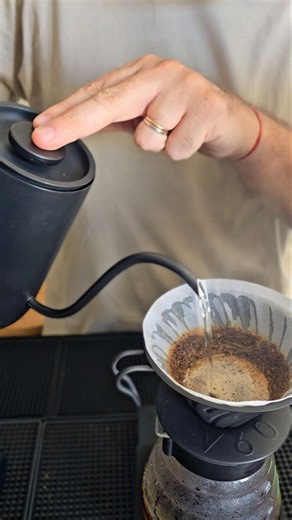 Daily Brew #5 Hario V60 Metal