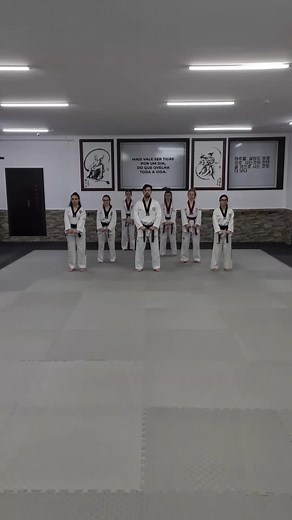 Palgwe 1 Taekwondo Poomsae Techniques Explained