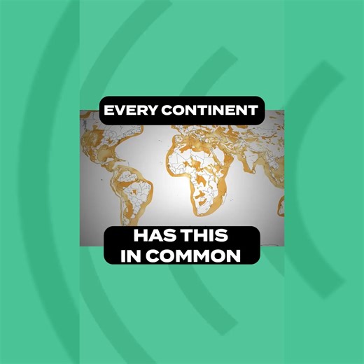 "Plants didn't evolve, animals didn't evolve, it's just the order of burial in the flood." Next week, we're sitting down with Dr. Tim Clarey to discuss Dinosaur National Monument and what the rock layers underneath reveal about creation and the flood. Subscribe to The Creation Podcast so you don't miss it! 🎥 https://na2.hubs.ly/H03t-9_0 | Institute for Creation Research (ICR)