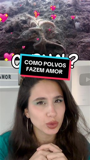 Reprodução de Polvos: Como acontece o amor entre os polvos?