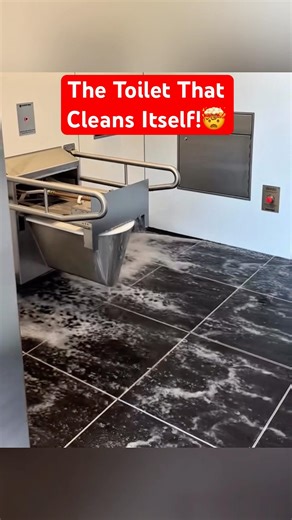 This Toilet Cleans Itself After Every Use