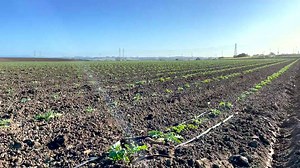 At RDO Water, irrigation systems and solutions are the core of what we do. Learn more about how we can take your operation to the next level today! 💧👉 https://bit.ly/42xrVwk | RDO Equipment Co.