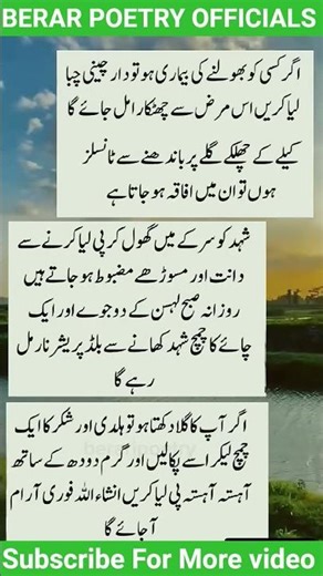 Beautiful lines #viral #viralvideo #viralshorts #shortsfeed #shortvideo #shorts #poetrystatus