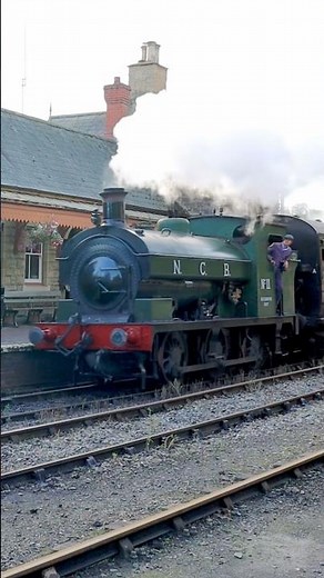 GWR 813 as NCB no. 11 - British steam engines