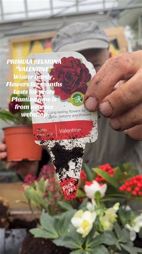 7.3K views · 127 reactions | #add WEBSHOP...