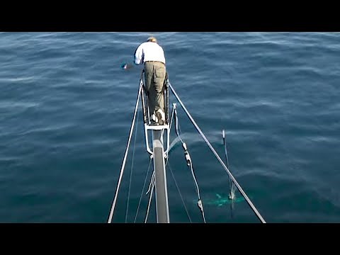 Harpooning Giant Bluefin Tuna off Cape Cod aboard the Cynthia C² | S14 E10