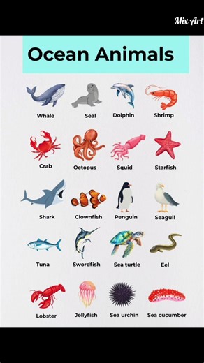 #Amazing Ocean Animals 🐳🌊Life Under the Sea. #Meet the Coolest Sea Creatures!