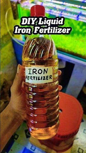 DIY Liquid Iron Fertilizer for Aquarium Plants | no CO2 planted tank