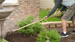 Man raking, landscaping, doing yard work in the spring, fall, autumn, 60fps.