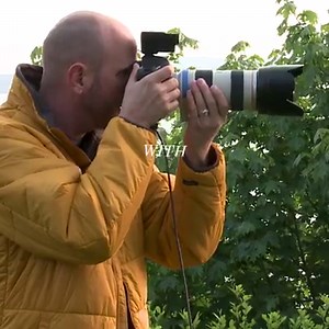 2.9M views · 82 reactions | $20 Sale! Speedlights open up a new realm in your photography. Join photographer Mark Wallace and gain the confidence to incorporate small portable flash in your photography toolkit. | CreativeLive | Facebook