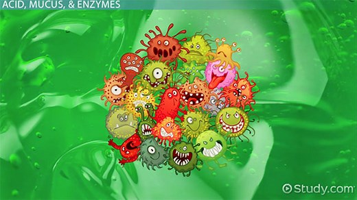 Physiological Responses to Infection