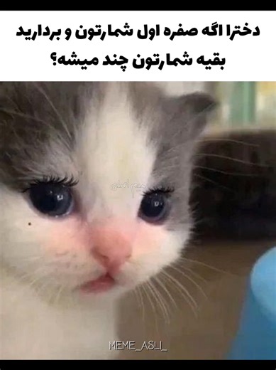 meme asli | میم اصلی on TikTok