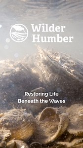 8.2K views · 135 reactions | The wild return has begun…  For the...