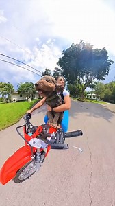 Today’s first ride was a success On new crf honda dirtbike!!!!! Credit : itscarolinamarie3 #fyp #labradoodle #funny #fyp #wholesome #girlswhoride #motodog #motopup | Chopper Time