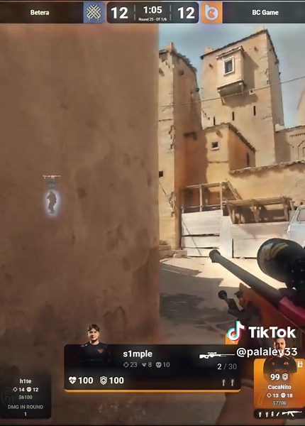 s1mple prime skin CS2 guide
