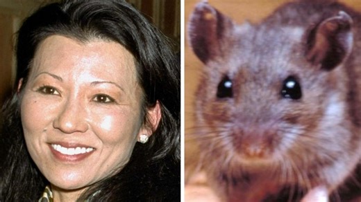What is hantavirus pulmonary syndrome? Gene Hackman’s wife Betsy Arakawa’s cause of death