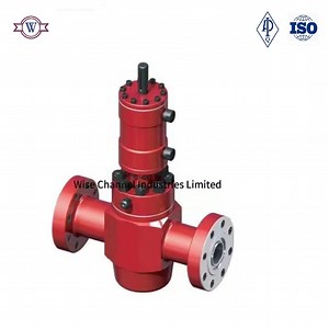 [Hot Item] API 6A Fls Type Hydraulic Gate Valve