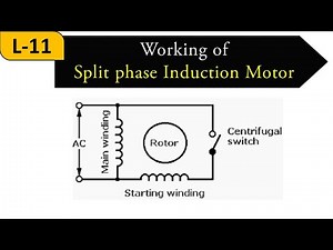 Lecture-11|| Working of Split phase Induction Motor || AC Machines