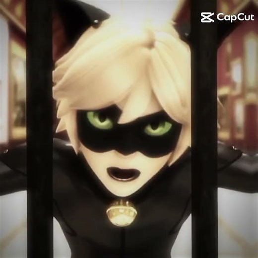 Ladybug und Cat Noir Edit #miraculous #ladybug #catnoir