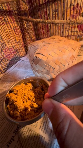 Nidavid Breeder on Instagram: "Feeding baby birds using a homemade bird formula 🥣🐦 Every small bite helps them grow stronger day by day. Breeding birds takes patience, love, and proper nutrition. Watch how we care for these little ones!"