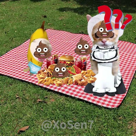[2026] BANANA CAT 🍌🐱 BABY - PICNIC AND THE SKY DROPPING POOP #catmemes #cat #bananacat #fyp #shorts