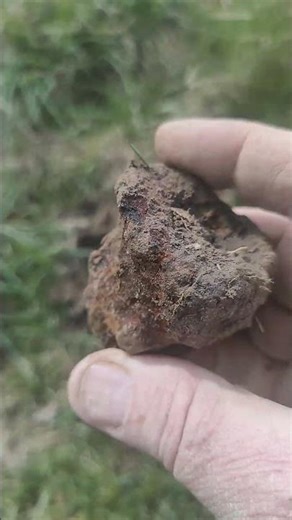 #metal detector #military #treasure #finds #scrap